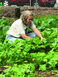Andrea Smith, the executive director of Garden Florida, hard at work in the cabbage patch.