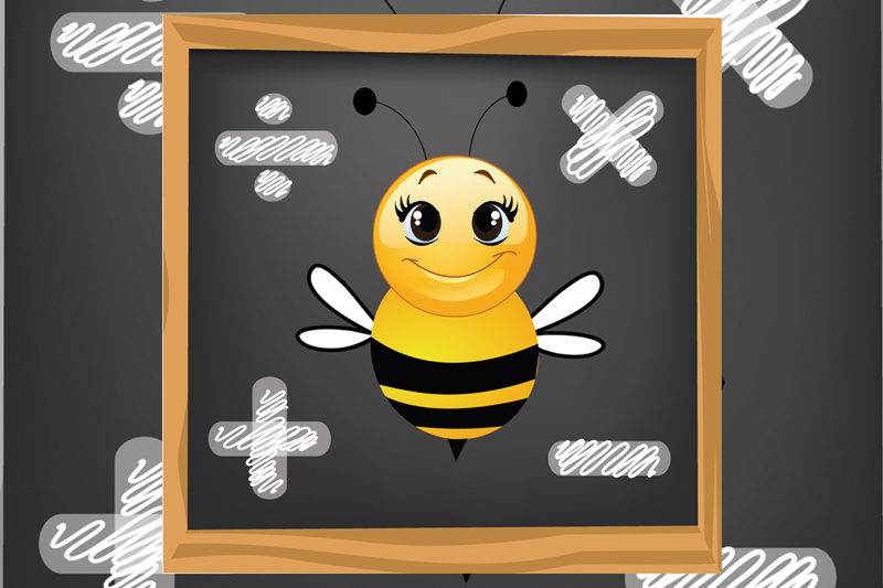 Math Bee at the Johnson Community Library July 15