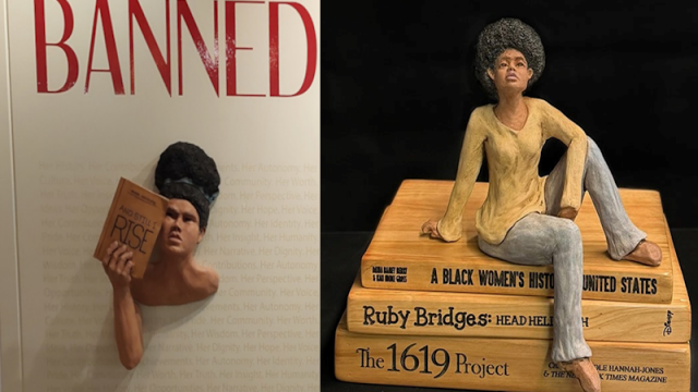 BANNED-at-at-Brenda-McMahon-Gallery.png