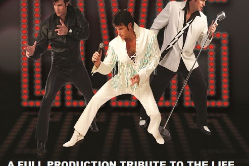 Chris-MacDonalds-Memories-of-Elvis.jpg