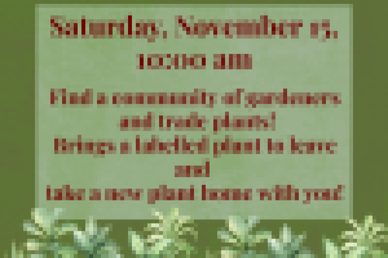Fall-Plant-Swap_square2.png