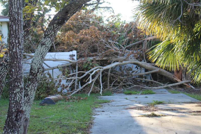 Featured_CommunityVoices_HurricaneOutages.png