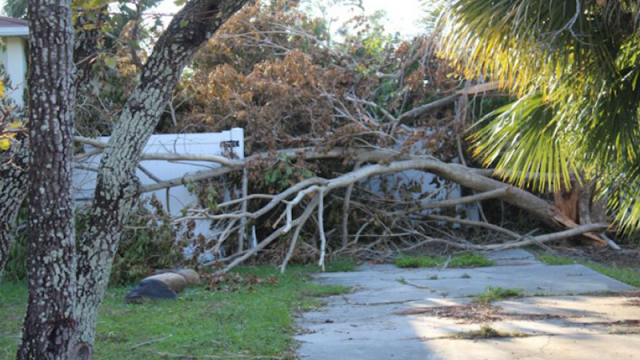 Featured_CommunityVoices_HurricaneOutages.png