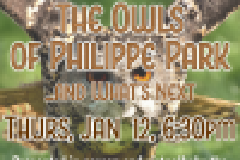 Remembering-The-Owls_square-3.png