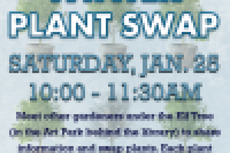 Winter-Plant-Swap_square3.png