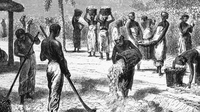 first-slaves-history.jpg
