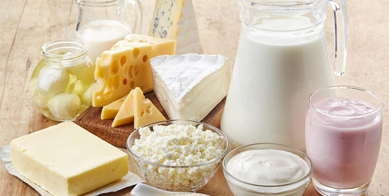 healthy-living-dairy.png